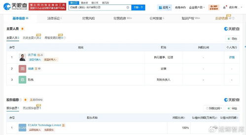 億咖通湖北公司增資至5.5億美元，信息系統(tǒng)集成服務(wù)迎來新發(fā)展